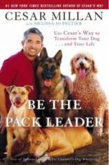 Be the pack leader