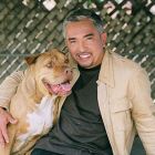 cesar-millan.jpg